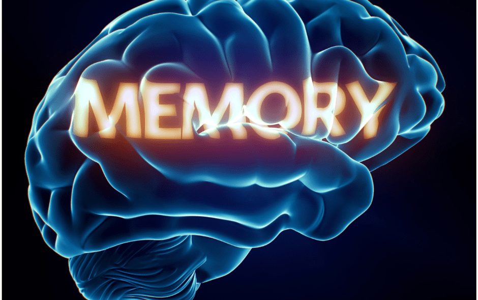 Memory Decline May Begin Earlier Than Expected, Study Finds