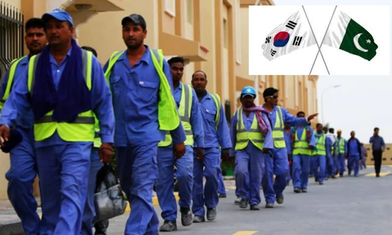 Pakistani Workers Returning from South Korea