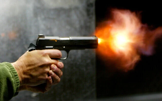 Two Peace Committee Volunteers Martyred in Militant Attack in Upper Dir