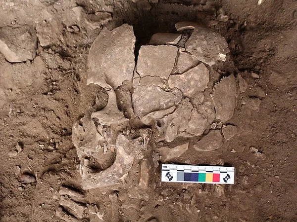 25,000-Year-Old Human Remains Reveal World’s Earliest Evidence of Betel Nut Drug Use