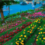 Govt plans major horticulture promotion drive under FoodAg 2027