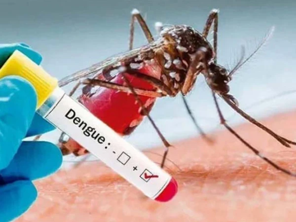 Peshawar Sees Rise in Dengue Cases as Weather Changes