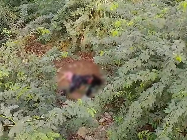 Young Woman Found Dead in Karachi Police investigate after a young woman’s body was recovered from bushes in Bin Qasim Town Karachi.
