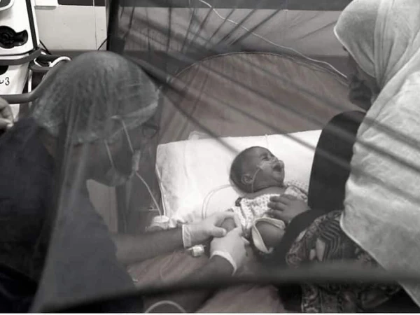 Sindh Records 117,016 Malaria Cases So Far This Year