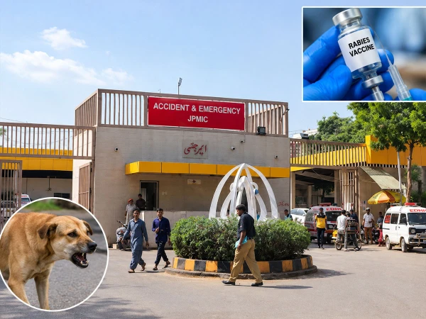 Rabies Confirmed in 27-Year-Old Woman at Jinnah Hospital