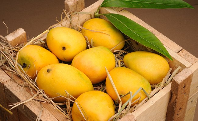 Pakistan’s fresh mango exports to 49 countries reach $107 million Pakistan’s fresh mango exports to 49 countries reach $107 million