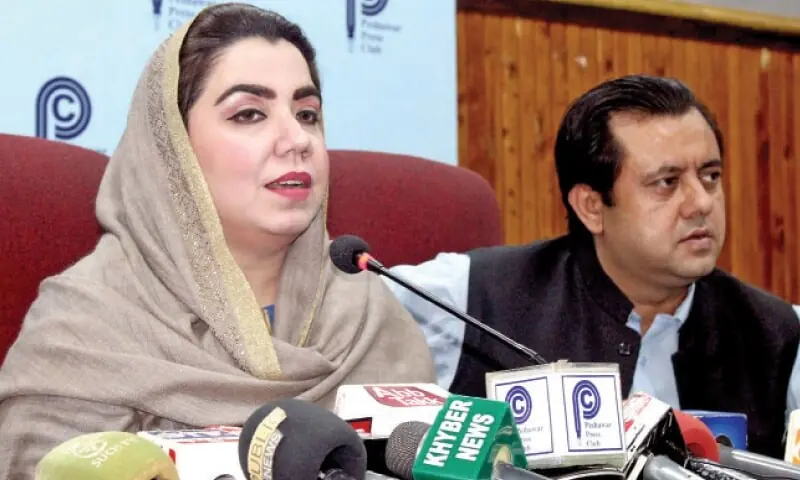 KP Govt Vows Decisive Action on Law and Order KP Govt Vows Decisive Action on Law and Order