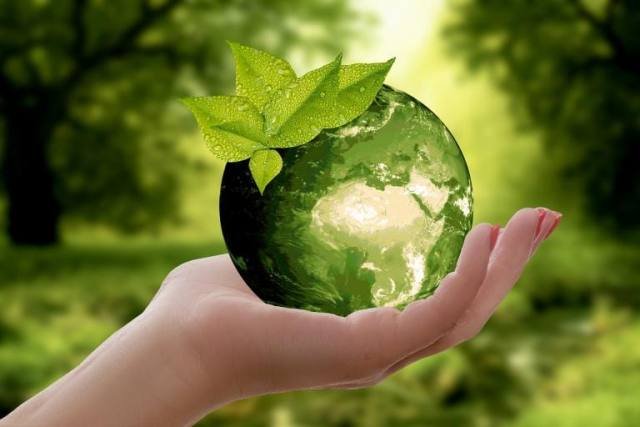 $10m youth climate plan to support 1,000 green projects and train 5,000 students