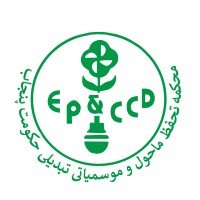 EP&CCD proposes $15m plan for 800 women-led green startups EP&CCD proposes $15m plan for 800 women-led green startups