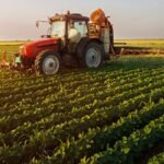 Punjab plans £300,000 climate-smart farming projects in Cholistan and Thal