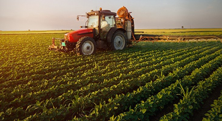 Punjab plans £300,000 climate-smart farming projects in Cholistan and Thal Punjab plans £300,000 climate-smart farming projects in Cholistan and Thal