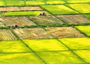 BeiDou Navigation Satellite System drives economic growth and social development