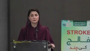 : Maryam Nawaz speaks at a stroke card distribution ceremony in Lahore