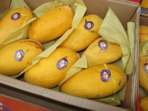Pakistan’s mango pulp exports earn $1.13 million in FY26