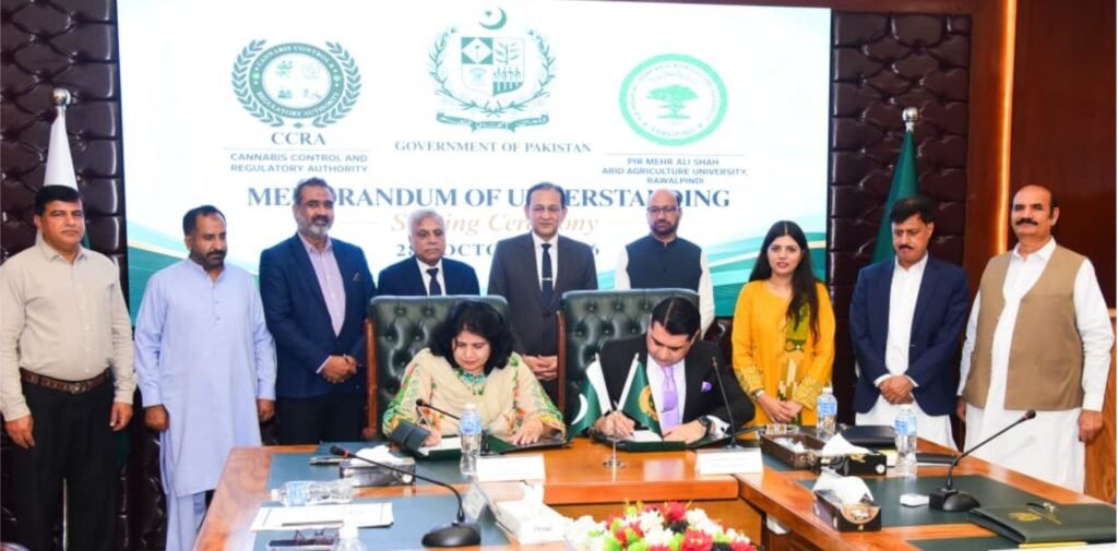 CCRA and PMAS-AAUR officials at the MoU signing ceremony to strengthen scientific research, laboratory testing and cannabis regulation in Pakistan.