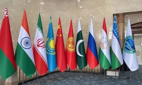 Pakistan's Ambassador to China Dr Syed Ali Asad Gilani addresses the SCO-OIC traditional medicine seminar in Beijing, highlighting scientific and industrial cooperation.