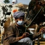China livestock vaccine assistance to Pakistan supports disease control, animal health and protection of rural farming livelihoods.