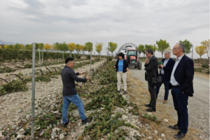 Chinese scientists develop silica nanoparticles designed to improve pesticide adhesion and reduce chemical loss from crop leaves.