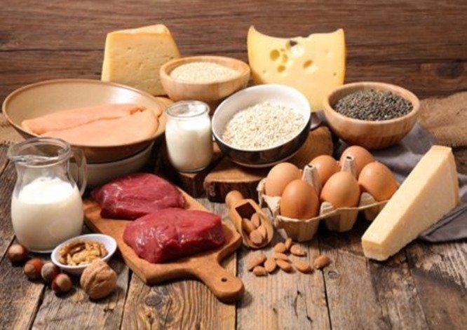Pakistan expands meat, dairy and poultry export drive targeting China, Gulf, Central Asian and Southeast Asian markets.