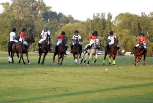 HN Polo Team defeats ASEAN to win Nanga Parbat Polo Cup in Islamabad HN Polo Team defeats ASEAN to win Nanga Parbat Polo Cup in Islamabad