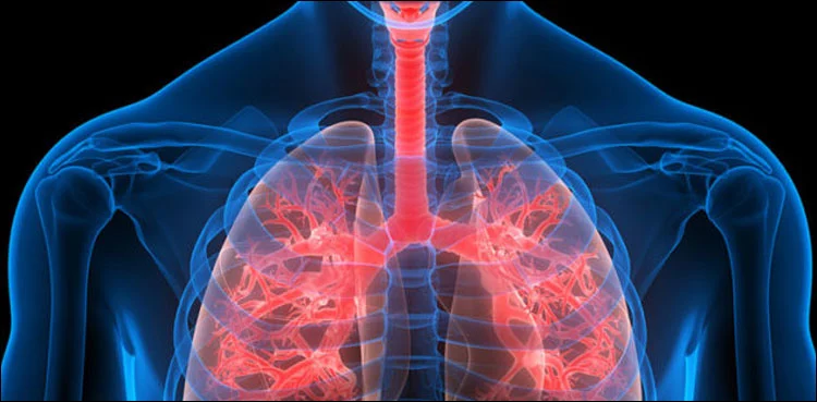 Experimental Lung Disease Drug Shows Promise in Trial : Experimental admilparant drug shows promise in a clinical trial for pulmonary fibrosis.