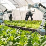 KP plans AI-powered irrigation system to reduce water use by 50%
