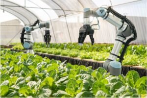 KP plans AI-powered irrigation system to reduce water use by 50%