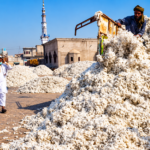 Power looms at a textile manufacturing facility in Pakistan amid financial difficulties affecting the cotton and textile industry.