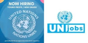 Pakistani professionals can explore international job opportunities with UNDP, UNICEF and other global agencies.