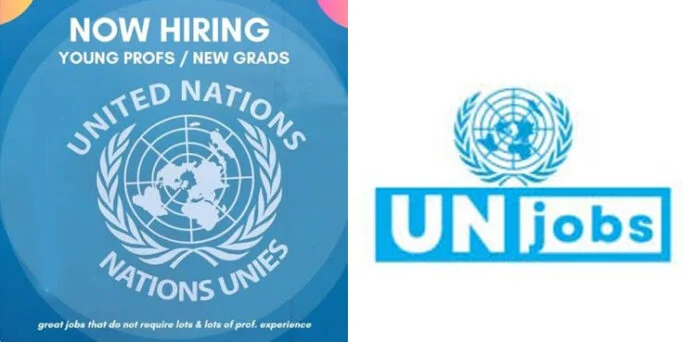 UN Jobs Open for Pakistanis: How to Apply Pakistani professionals can explore international job opportunities with UNDP, UNICEF and other global agencies.