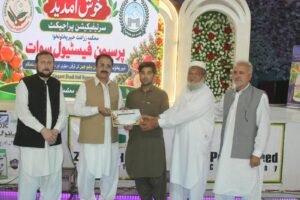 Persimmon orchards and fruit production in Swat