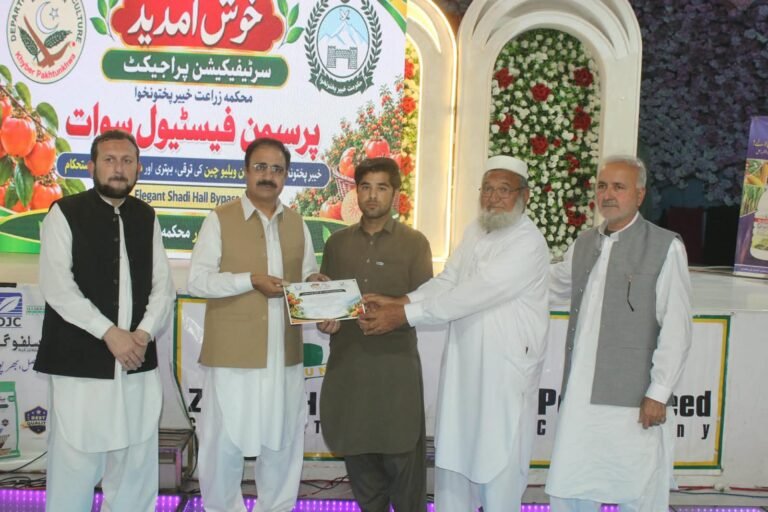 Swat Leads Pakistan’s Persimmon Production Persimmon orchards and fruit production in Swat