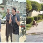Mardan Cantonment Board operation against stray dogs in residential areas