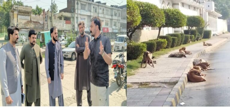 Mardan Cantonment Board operation against stray dogs in residential areas