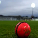 : South Africa and Australia players during the Durban Test affected by poor light.