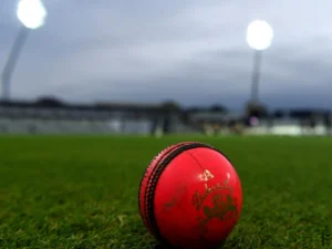 : South Africa and Australia players during the Durban Test affected by poor light.