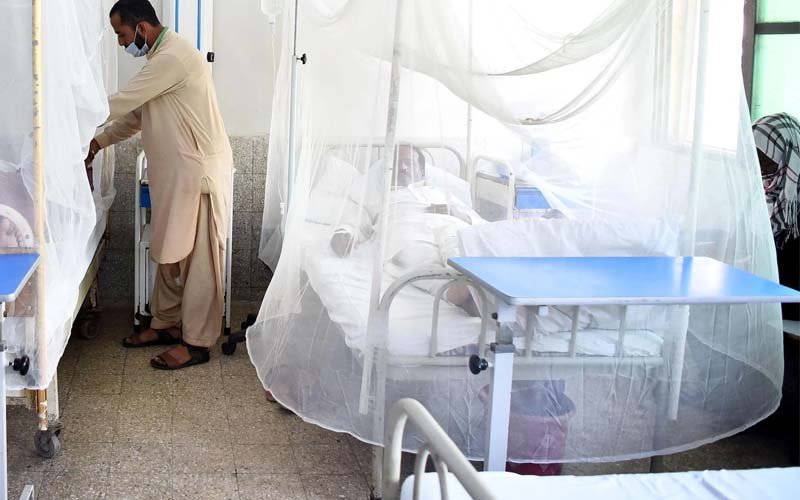 Dengue larvae found at Lahore railway workshop during health inspection.