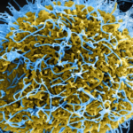 EV-D68 respiratory virus linked to rare polio-like illness in children