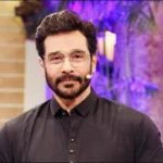 Pakistani actor Faisal Qureshi comments on restrictions affecting Pakistani dramas in India.