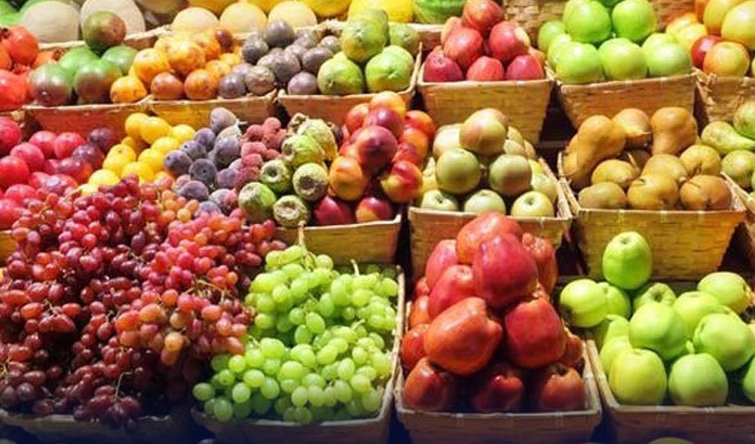 Which Foods Can Help Support Kidney Health? 7 Foods That May Support Kidney Health