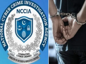 NCCIA investigates an alleged pornographic animation network following a raid on three offices in Karachi's Gulistan-e-Johar area.
