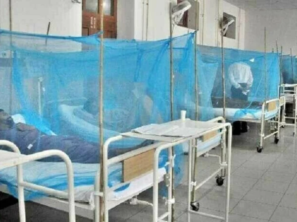 Dengue Cases Rise to 42 in Rawalpindi