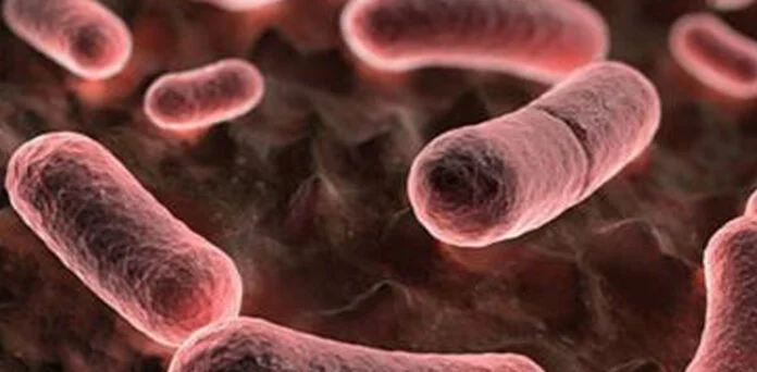 Russia Plague Fears Rise After Researcher’s Death