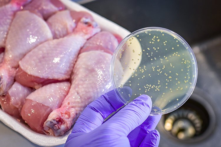 Raw chicken being prepared in a kitchen, highlighting food safety and bacterial contamination risks.