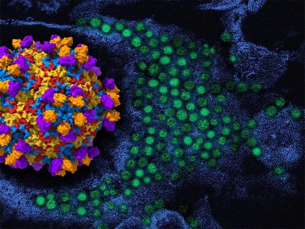 EV-D68 Virus Activity Rises in California EV-D68 respiratory virus activity rises among children in California